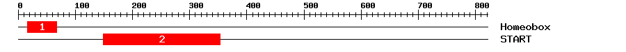 Signature Domain