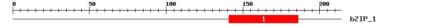Signature Domain