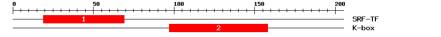 Signature Domain