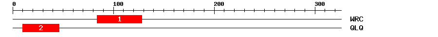 Signature Domain