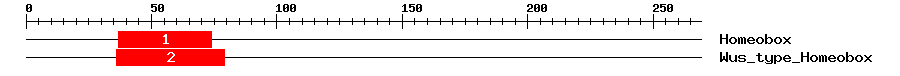 Signature Domain