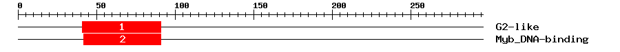 Signature Domain