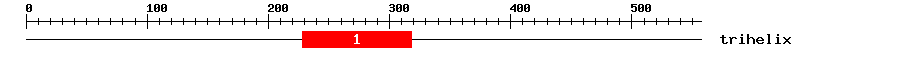 Signature Domain