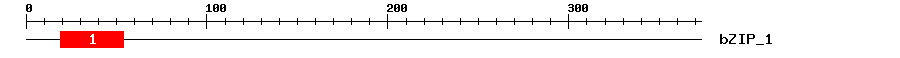 Signature Domain