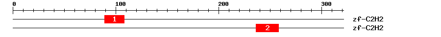 Signature Domain