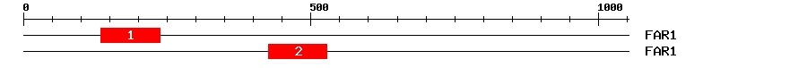 Signature Domain