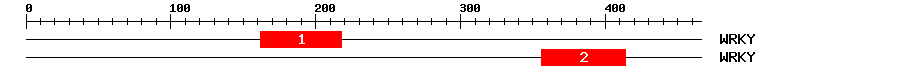 Signature Domain
