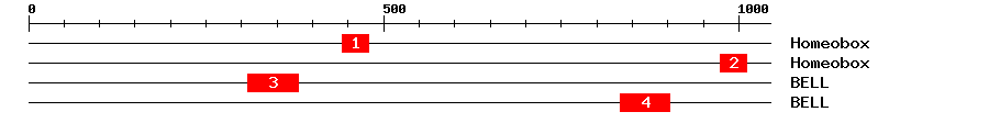 Signature Domain