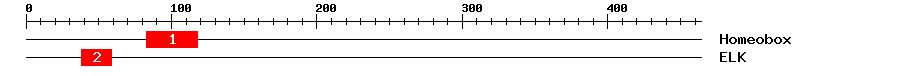 Signature Domain