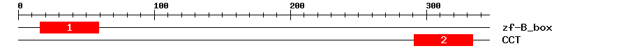Signature Domain