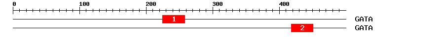 Signature Domain