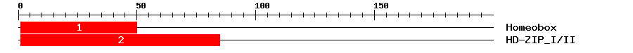 Signature Domain