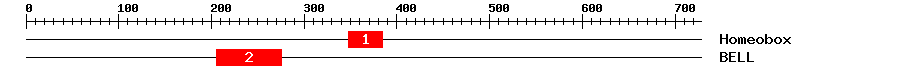 Signature Domain