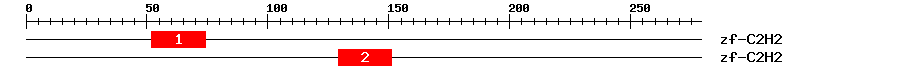 Signature Domain