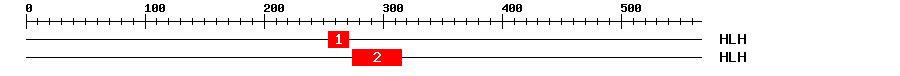 Signature Domain