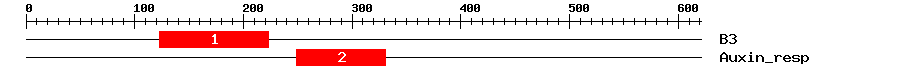 Signature Domain