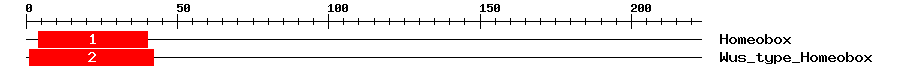Signature Domain