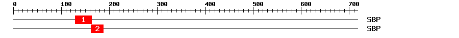 Signature Domain