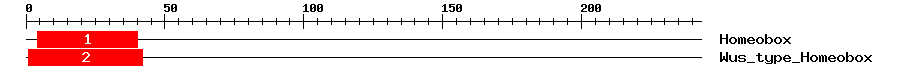 Signature Domain