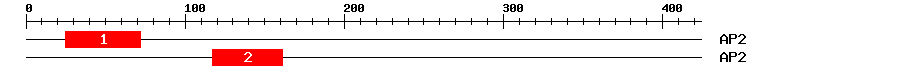 Signature Domain