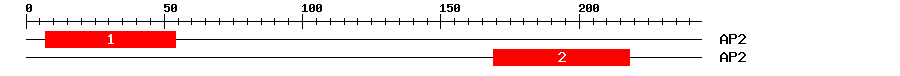 Signature Domain