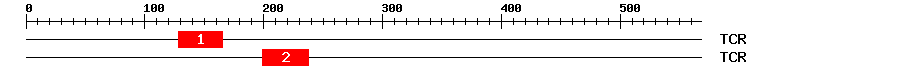 Signature Domain