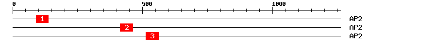 Signature Domain