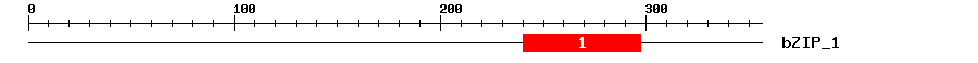 Signature Domain
