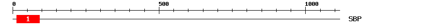 Signature Domain
