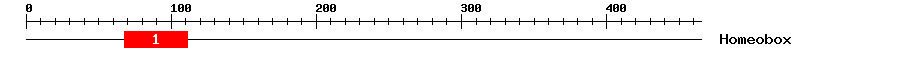 Signature Domain