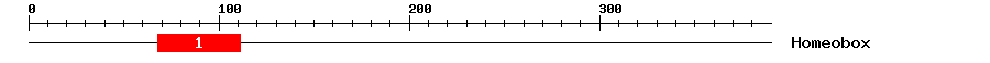 Signature Domain