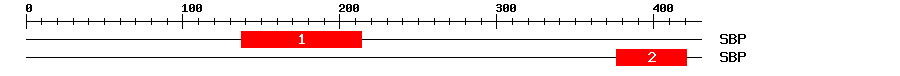 Signature Domain