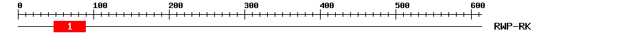 Signature Domain