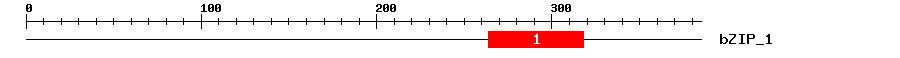 Signature Domain
