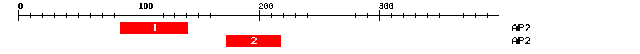 Signature Domain