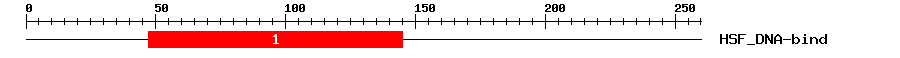 Signature Domain