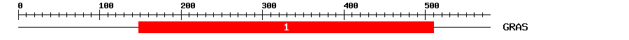 Signature Domain