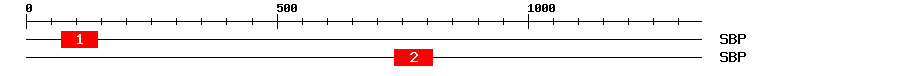 Signature Domain