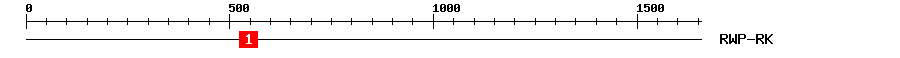Signature Domain