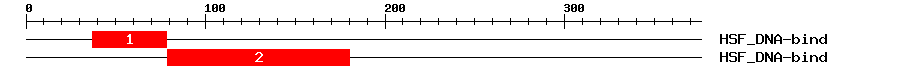 Signature Domain