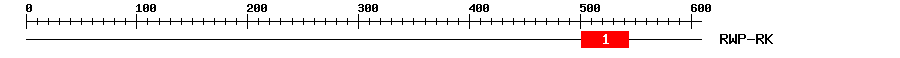 Signature Domain