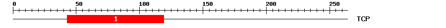 Signature Domain