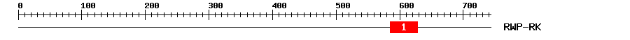 Signature Domain