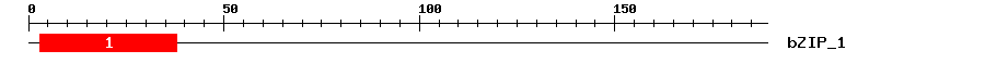 Signature Domain