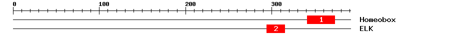 Signature Domain