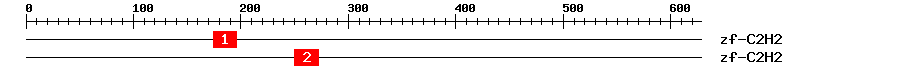 Signature Domain