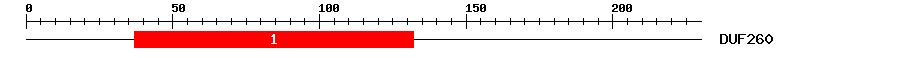 Signature Domain