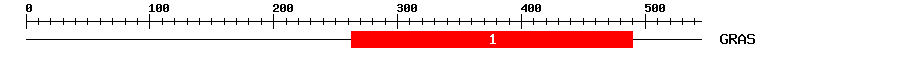 Signature Domain
