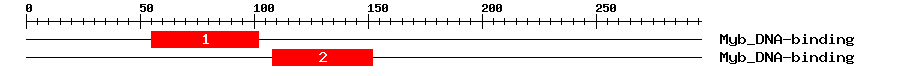 Signature Domain