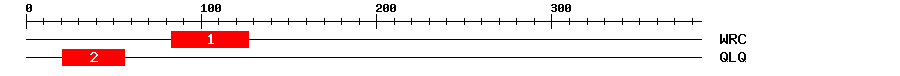 Signature Domain